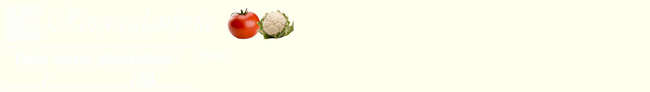 Étiquette de : Rosa eglanteria - format a - style blanche19viv avec qrcode et comestibilité simplifiée