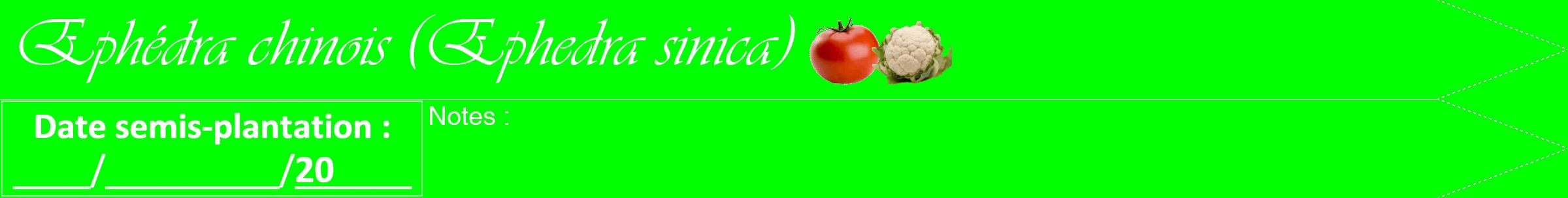 Étiquette de : Ephedra sinica - format b - style blanche16viv avec comestibilité simplifiée