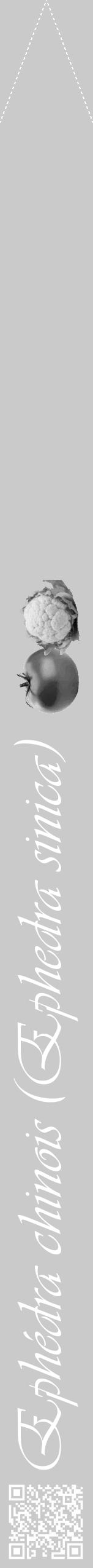 Étiquette de : Ephedra sinica - format b - style blanche21viv avec qrcode et comestibilité simplifiée - position verticale