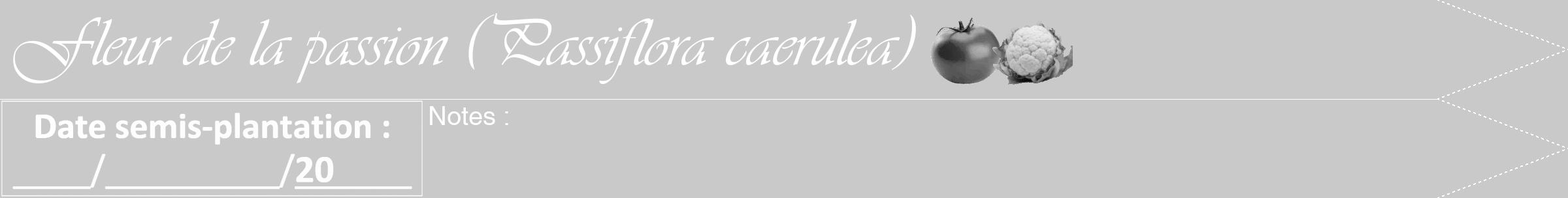 Étiquette de : Passiflora caerulea - format b - style blanche54viv avec comestibilité simplifiée