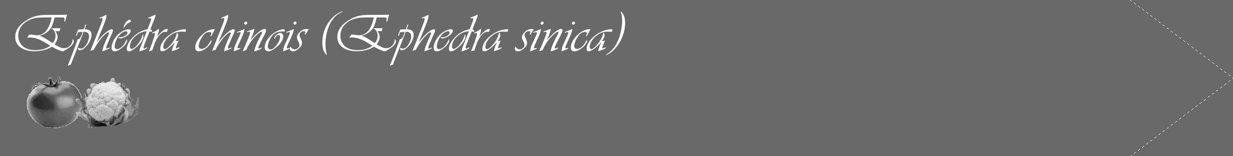 Étiquette de : Ephedra sinica - format c - style blanche51_simple_simpleviv avec comestibilité simplifiée