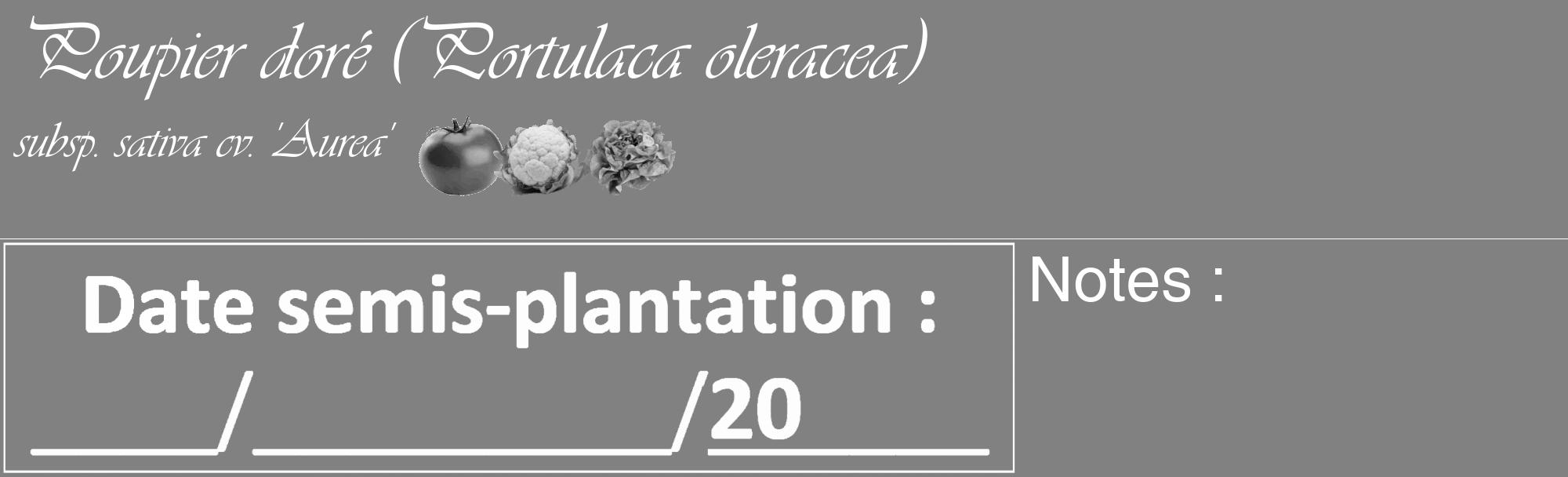 Étiquette de : Portulaca oleracea subsp. sativa cv. 'Aurea' - format c - style blanche50_basique_basiqueviv avec comestibilité simplifiée