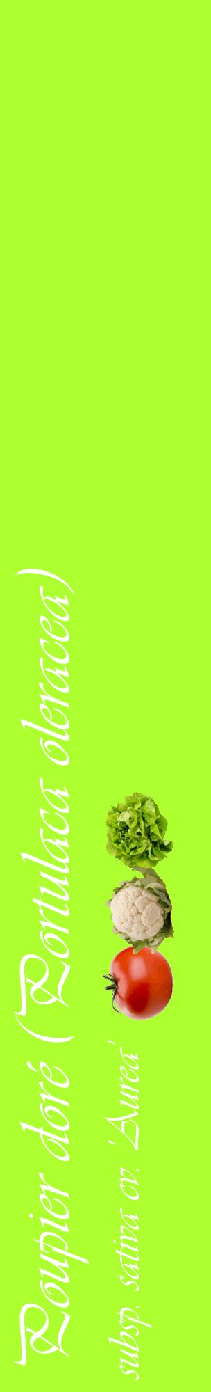 Étiquette de : Portulaca oleracea subsp. sativa cv. 'Aurea' - format c - style blanche17_basiqueviv avec comestibilité simplifiée