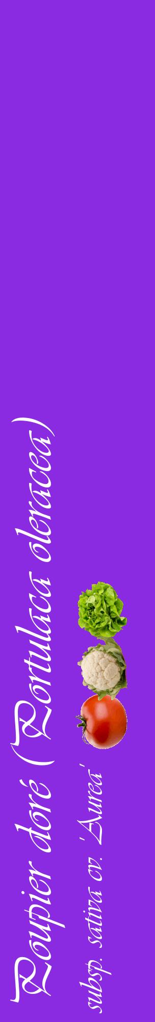 Étiquette de : Portulaca oleracea subsp. sativa cv. 'Aurea' - format c - style blanche49_basiqueviv avec comestibilité simplifiée