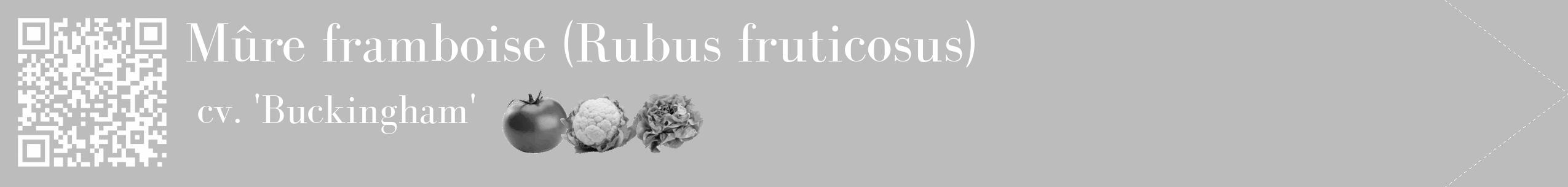 Étiquette de : Rubus fruticosus cv. 'Buckingham' - format c - style blanche1_simple_simplebod avec qrcode et comestibilité simplifiée