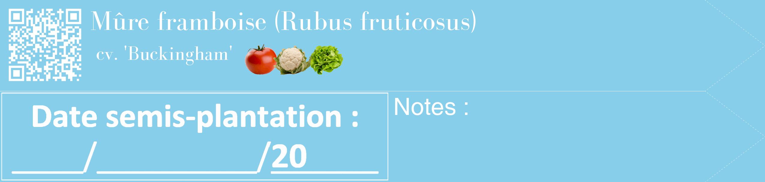 Étiquette de : Rubus fruticosus cv. 'Buckingham' - format c - style blanche1_simple_simplebod avec qrcode et comestibilité simplifiée