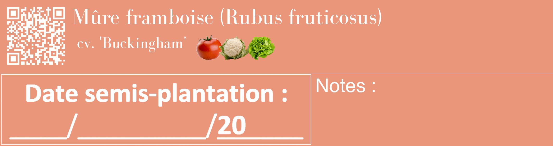 Étiquette de : Rubus fruticosus cv. 'Buckingham' - format c - style blanche37_basique_basiquebod avec qrcode et comestibilité simplifiée