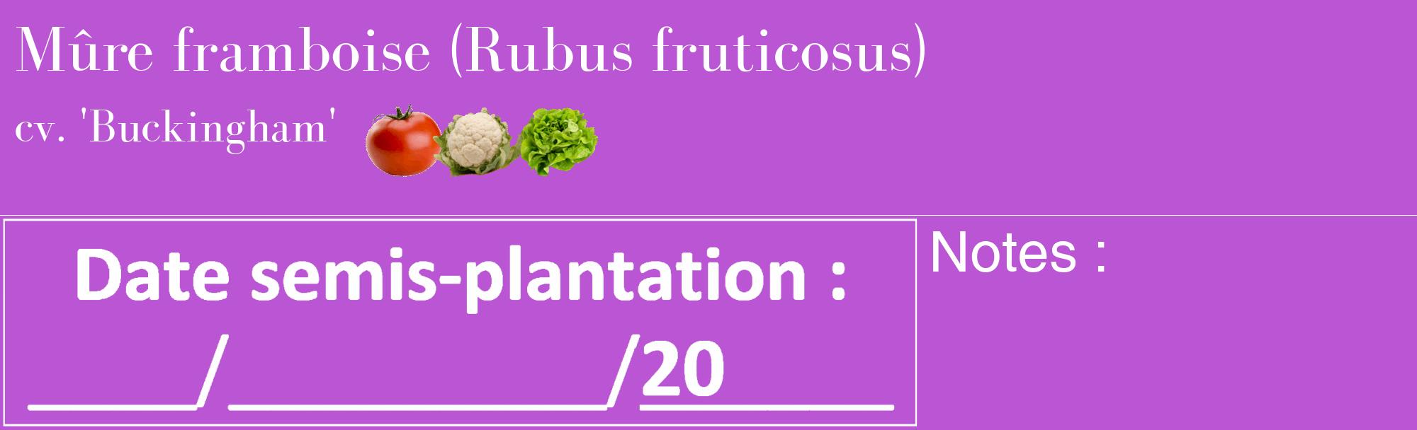 Étiquette de : Rubus fruticosus cv. 'Buckingham' - format c - style blanche50_basique_basiquebod avec comestibilité simplifiée