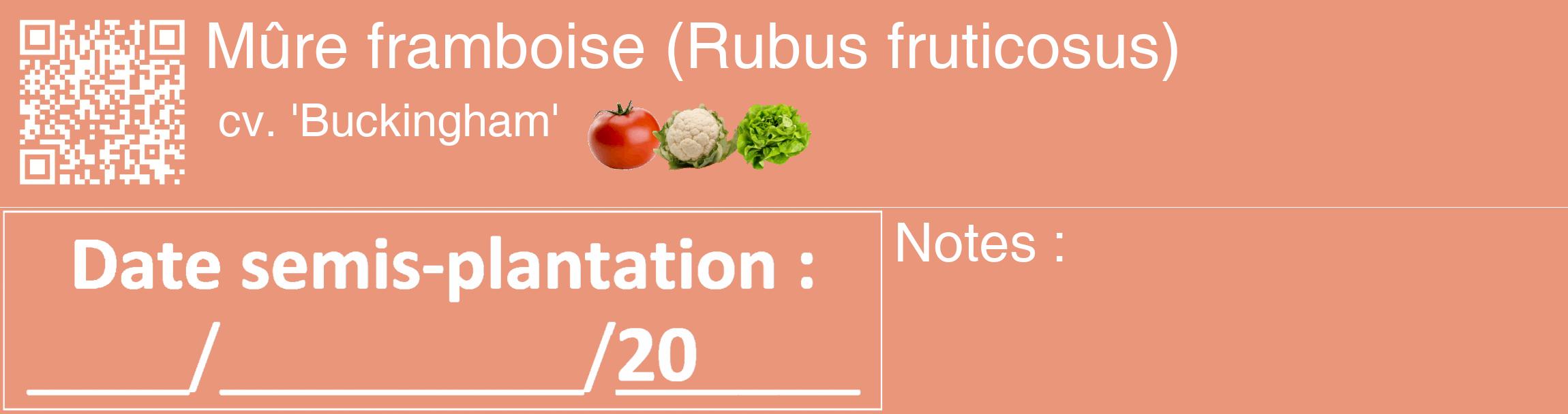 Étiquette de : Rubus fruticosus cv. 'Buckingham' - format c - style blanche37_basique_basiquehel avec qrcode et comestibilité simplifiée