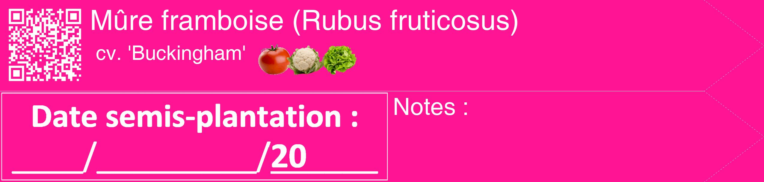 Étiquette de : Rubus fruticosus cv. 'Buckingham' - format c - style blanche43_simple_simplehel avec qrcode et comestibilité simplifiée