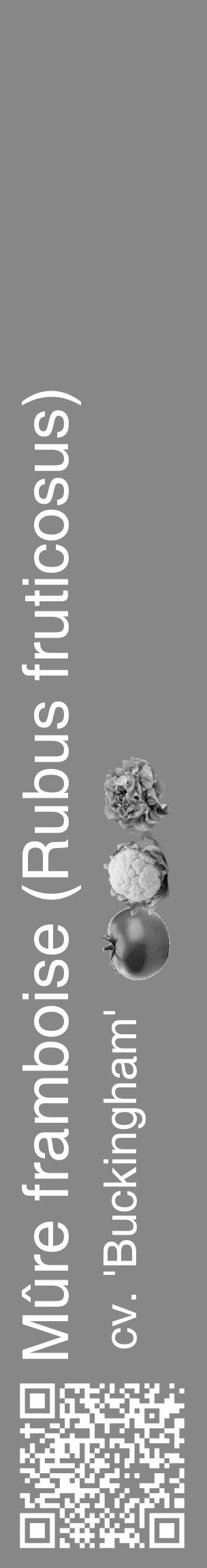 Étiquette de : Rubus fruticosus cv. 'Buckingham' - format c - style blanche12_basique_basiquehel avec qrcode et comestibilité simplifiée - position verticale