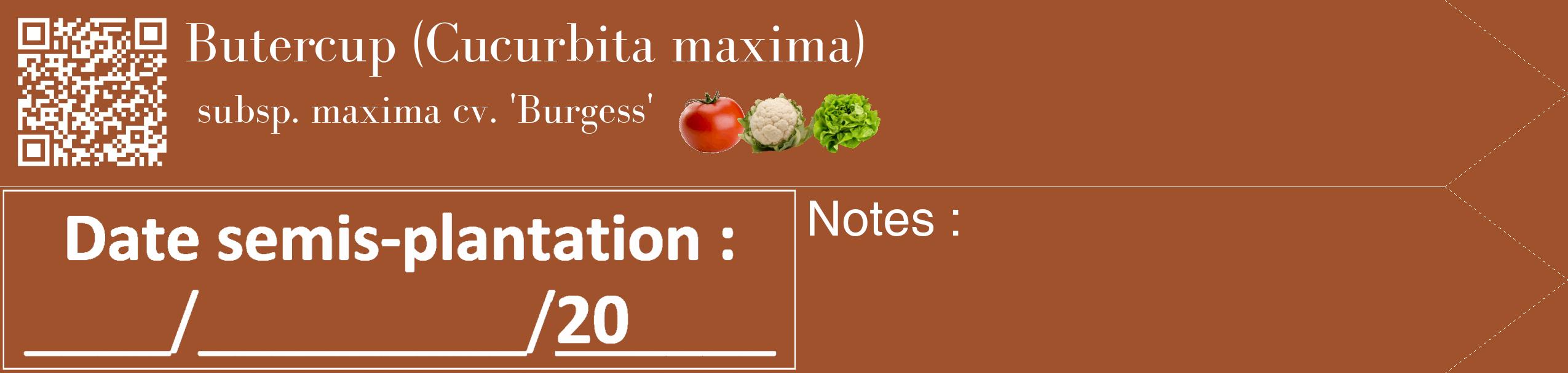 Étiquette de : Cucurbita maxima subsp. maxima cv. 'Burgess' - format c - style blanche32_simple_simplebod avec qrcode et comestibilité simplifiée