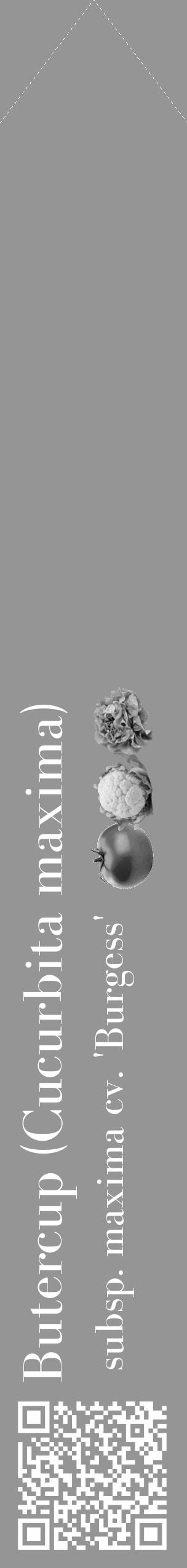 Étiquette de : Cucurbita maxima subsp. maxima cv. 'Burgess' - format c - style blanche16_simple_simplebod avec qrcode et comestibilité simplifiée - position verticale