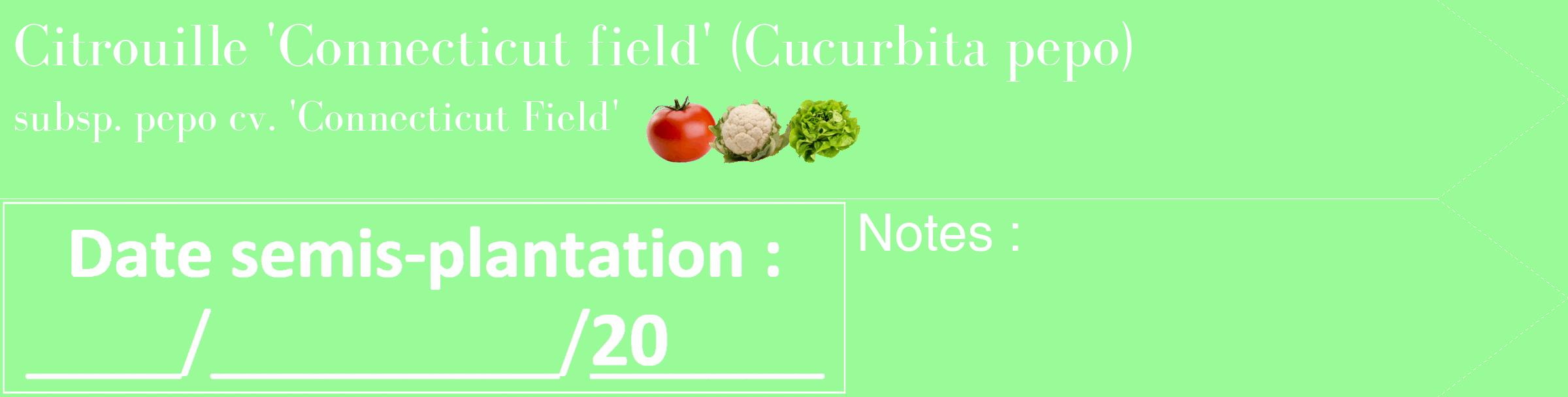 Étiquette de : Cucurbita pepo subsp. pepo cv. 'Connecticut Field' - format c - style blanche14_simple_simplebod avec comestibilité simplifiée
