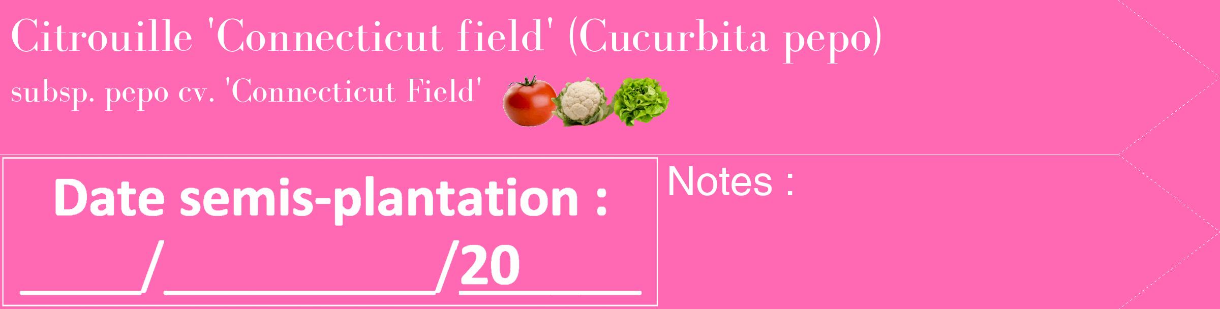 Étiquette de : Cucurbita pepo subsp. pepo cv. 'Connecticut Field' - format c - style blanche42_simple_simplebod avec comestibilité simplifiée