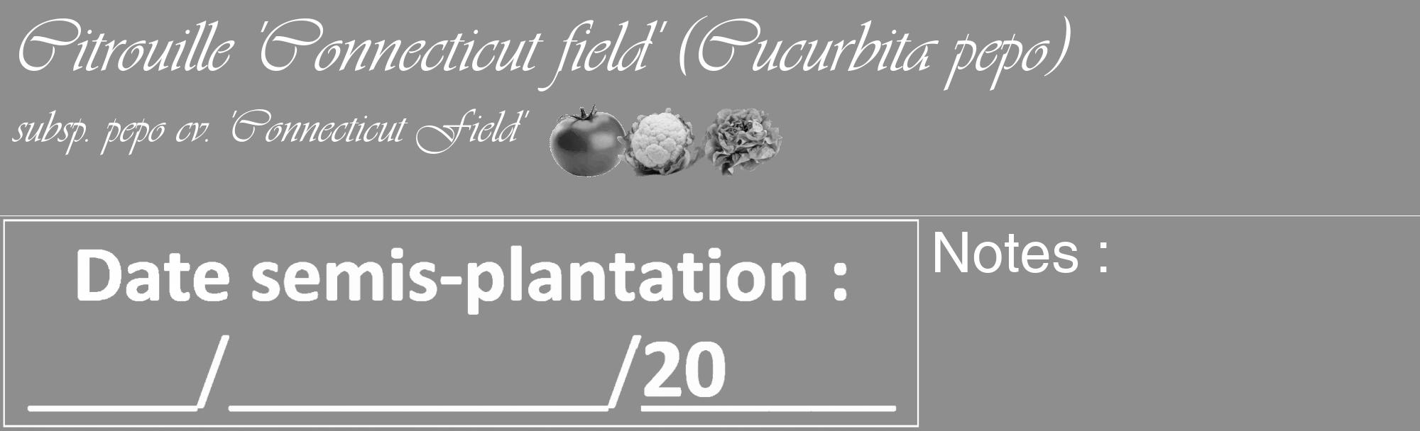 Étiquette de : Cucurbita pepo subsp. pepo cv. 'Connecticut Field' - format c - style blanche25_basique_basiqueviv avec comestibilité simplifiée