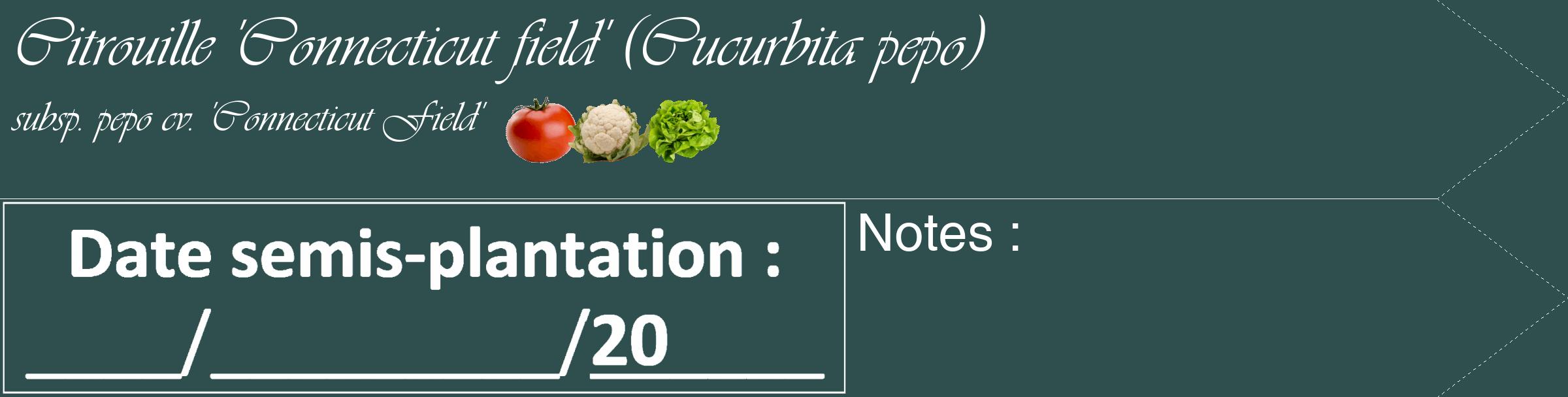 Étiquette de : Cucurbita pepo subsp. pepo cv. 'Connecticut Field' - format c - style blanche58_simple_simpleviv avec comestibilité simplifiée