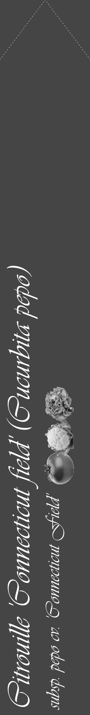Étiquette de : Cucurbita pepo subsp. pepo cv. 'Connecticut Field' - format c - style blanche58_simple_simpleviv avec comestibilité simplifiée - position verticale