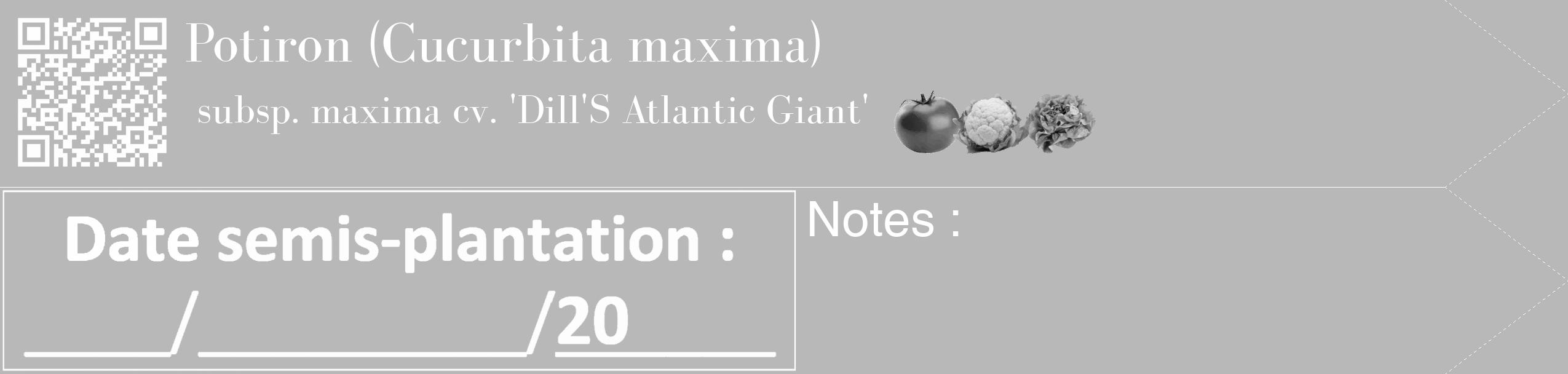 Étiquette de : Cucurbita maxima subsp. maxima cv. 'Dill'S Atlantic Giant' - format c - style blanche39_simple_simplebod avec qrcode et comestibilité simplifiée