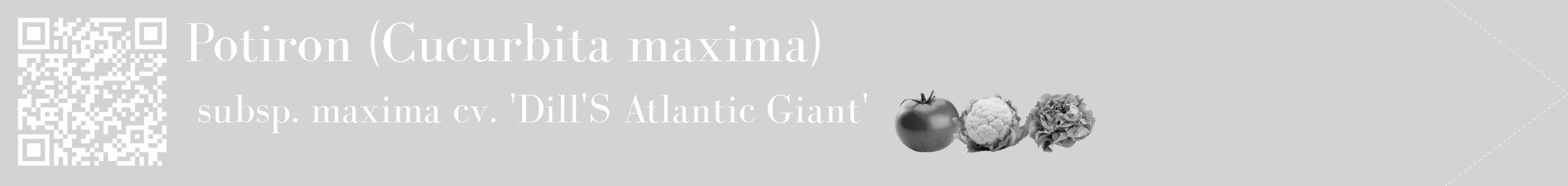 Étiquette de : Cucurbita maxima subsp. maxima cv. 'Dill'S Atlantic Giant' - format c - style blanche56_simple_simplebod avec qrcode et comestibilité simplifiée