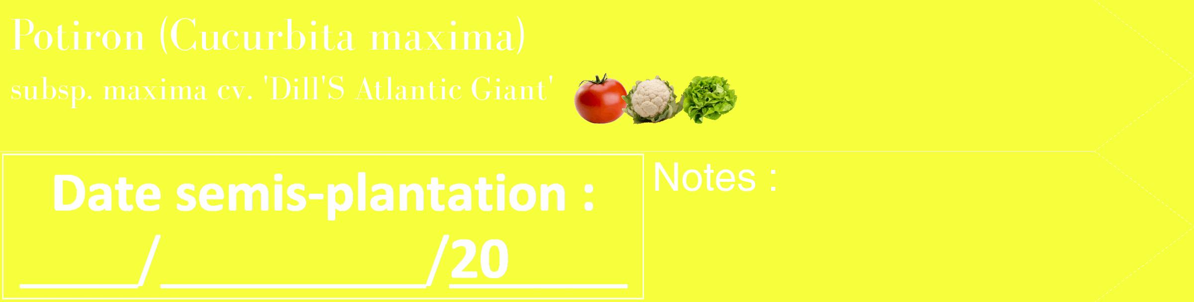Étiquette de : Cucurbita maxima subsp. maxima cv. 'Dill'S Atlantic Giant' - format c - style blanche18_simple_simplebod avec comestibilité simplifiée