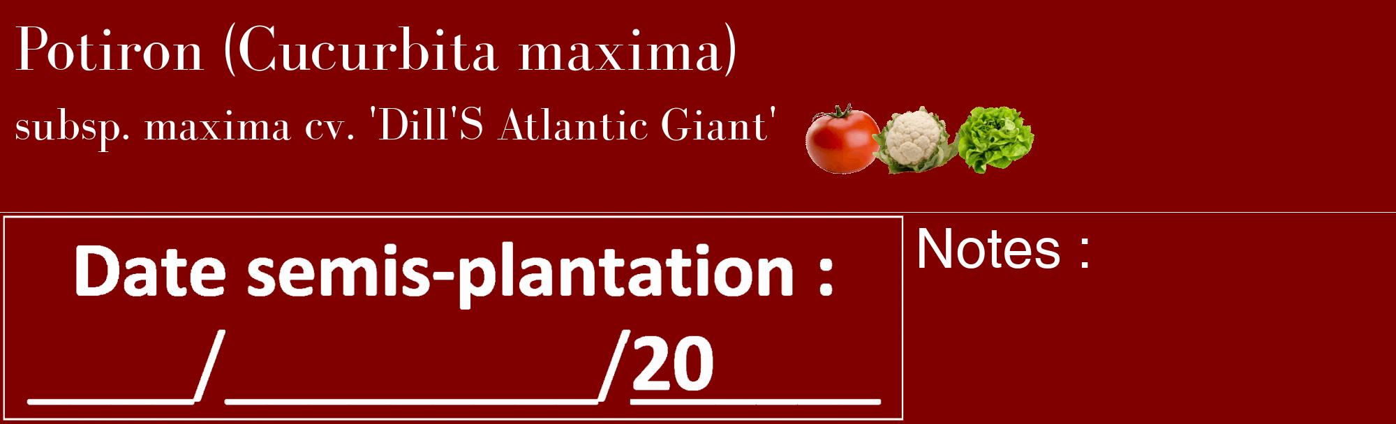 Étiquette de : Cucurbita maxima subsp. maxima cv. 'Dill'S Atlantic Giant' - format c - style blanche29_basique_basiquebod avec comestibilité simplifiée