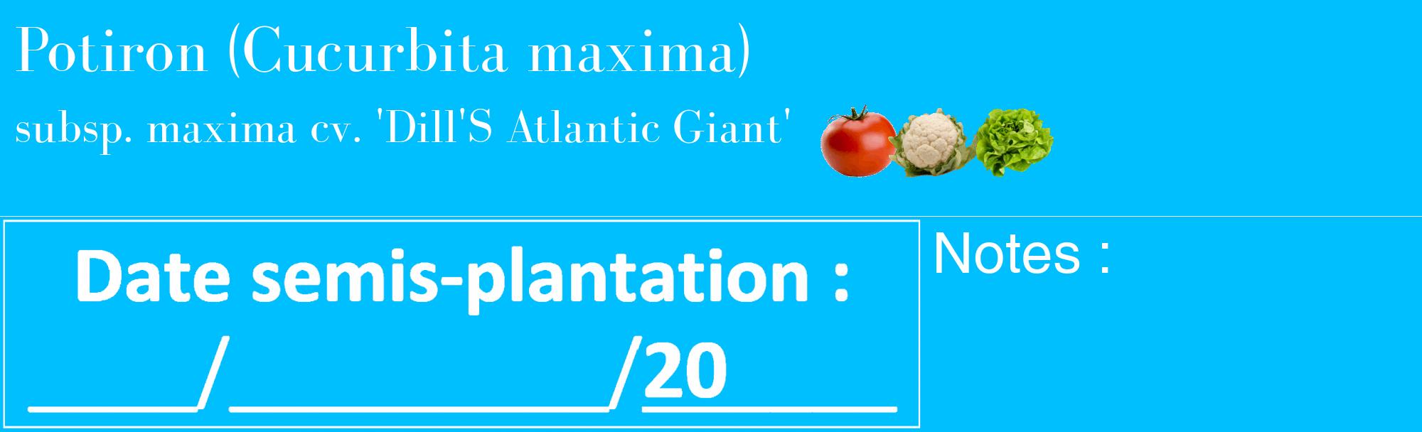 Étiquette de : Cucurbita maxima subsp. maxima cv. 'Dill'S Atlantic Giant' - format c - style blanche2_basique_basiquebod avec comestibilité simplifiée