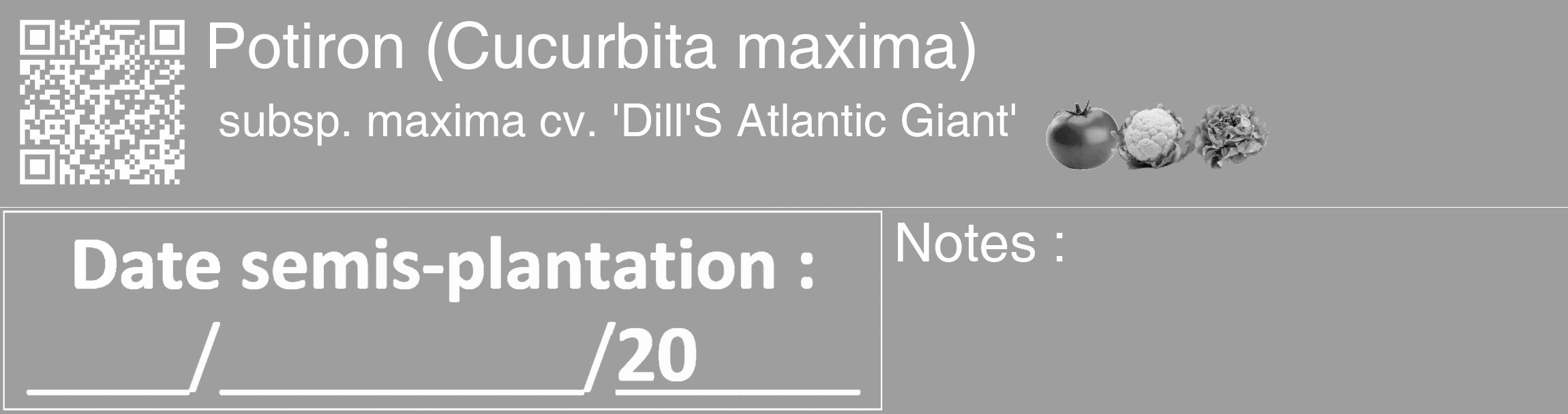 Étiquette de : Cucurbita maxima subsp. maxima cv. 'Dill'S Atlantic Giant' - format c - style blanche23_basique_basiquehel avec qrcode et comestibilité simplifiée