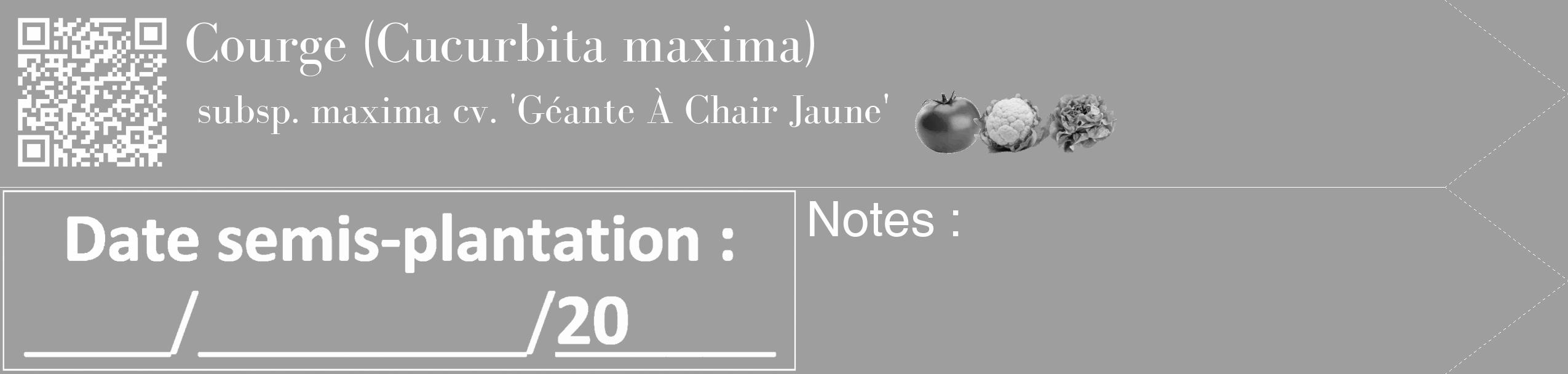 Étiquette de : Cucurbita maxima subsp. maxima cv. 'Géante À Chair Jaune' - format c - style blanche23_simple_simplebod avec qrcode et comestibilité simplifiée