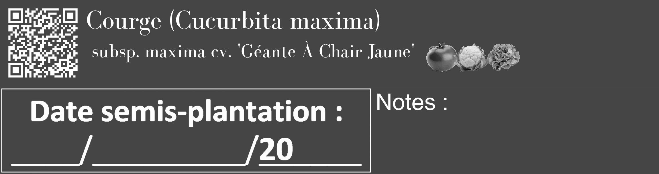 Étiquette de : Cucurbita maxima subsp. maxima cv. 'Géante À Chair Jaune' - format c - style blanche58_basique_basiquebod avec qrcode et comestibilité simplifiée