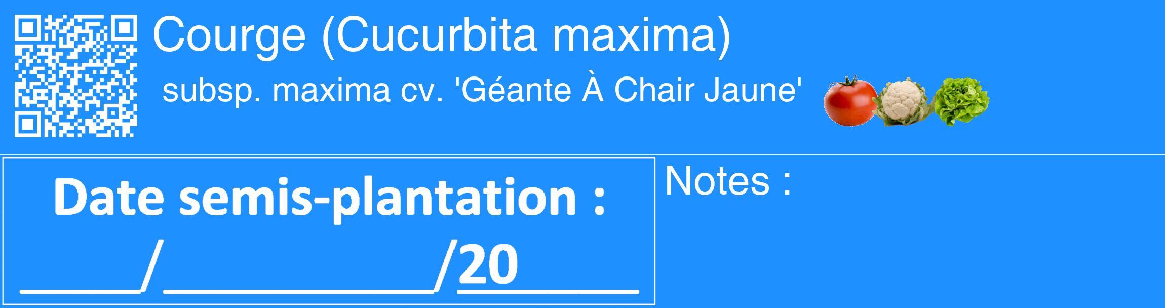 Étiquette de : Cucurbita maxima subsp. maxima cv. 'Géante À Chair Jaune' - format c - style blanche3_basique_basiquehel avec qrcode et comestibilité simplifiée