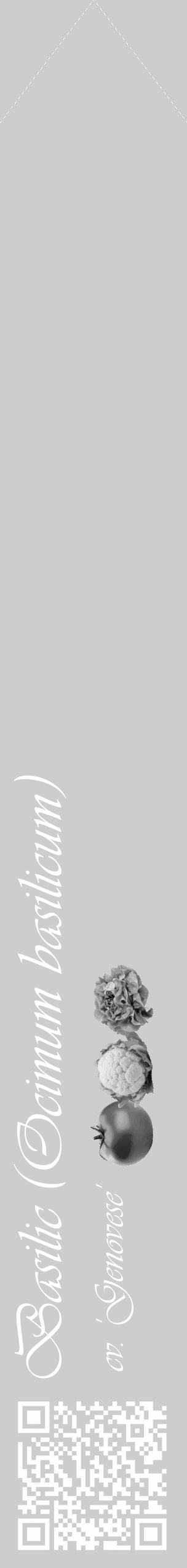 Étiquette de : Ocimum basilicum cv. 'Genovese' - format c - style blanche41_simple_simpleviv avec qrcode et comestibilité simplifiée - position verticale