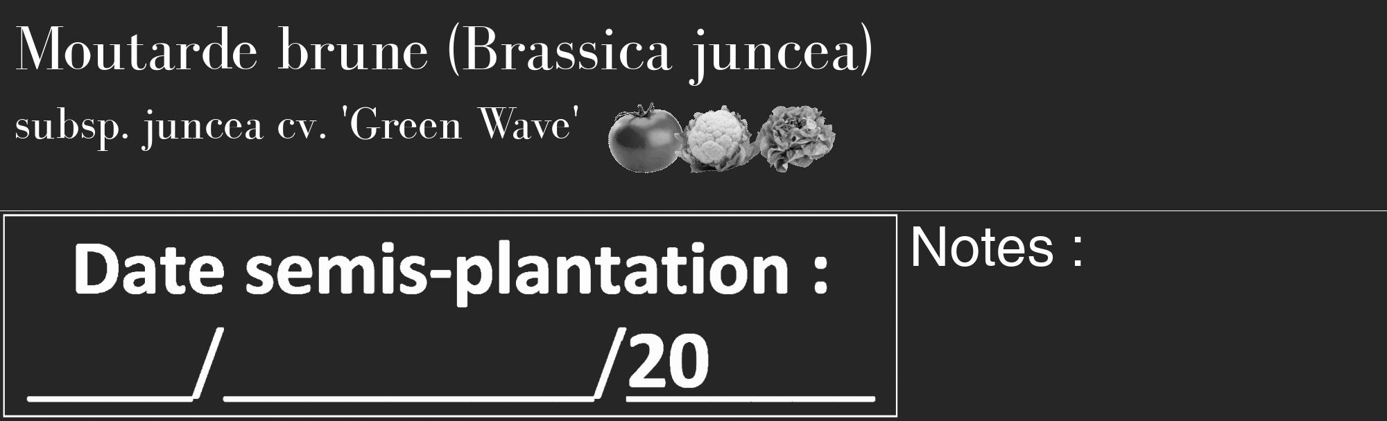 Étiquette de : Brassica juncea subsp. juncea cv. 'Green Wave' - format c - style blanche29_basique_basiquebod avec comestibilité simplifiée