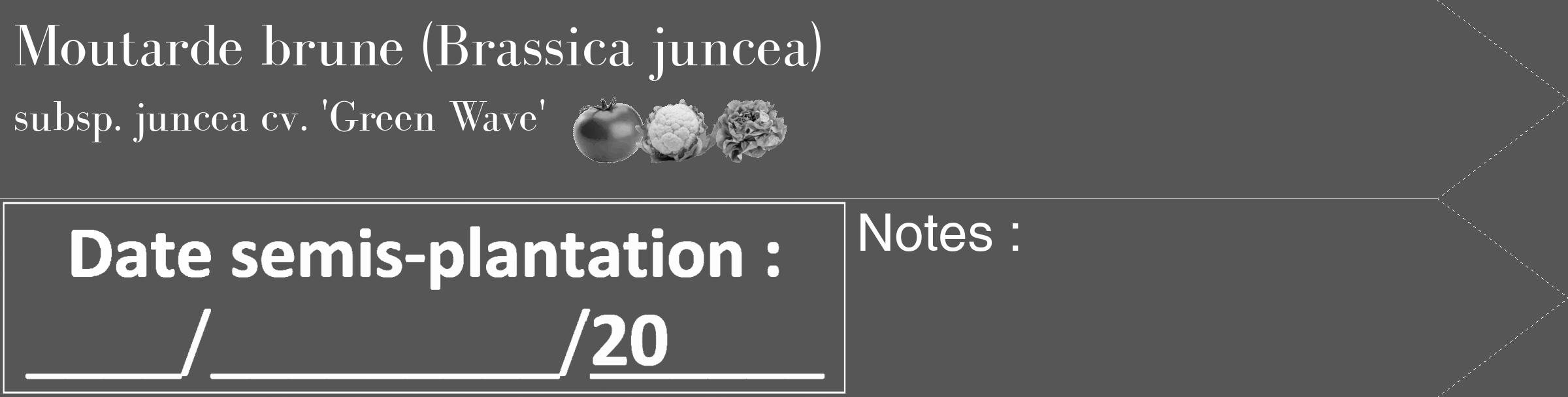Étiquette de : Brassica juncea subsp. juncea cv. 'Green Wave' - format c - style blanche45_simple_simplebod avec comestibilité simplifiée