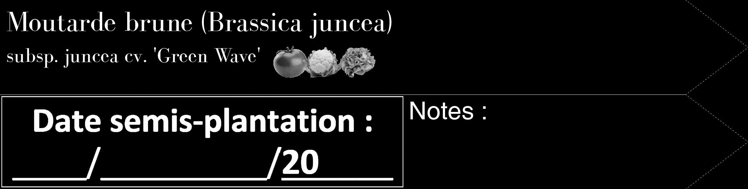 Étiquette de : Brassica juncea subsp. juncea cv. 'Green Wave' - format c - style blanche59_simple_simplebod avec comestibilité simplifiée