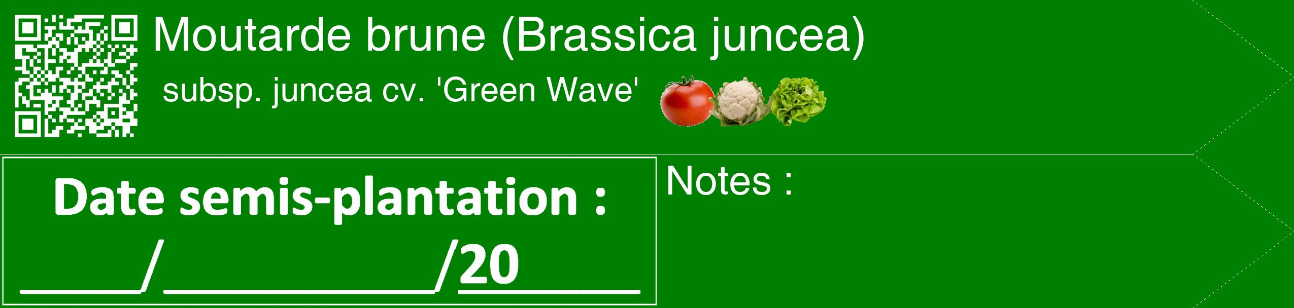 Étiquette de : Brassica juncea subsp. juncea cv. 'Green Wave' - format c - style blanche9_simple_simplehel avec qrcode et comestibilité simplifiée