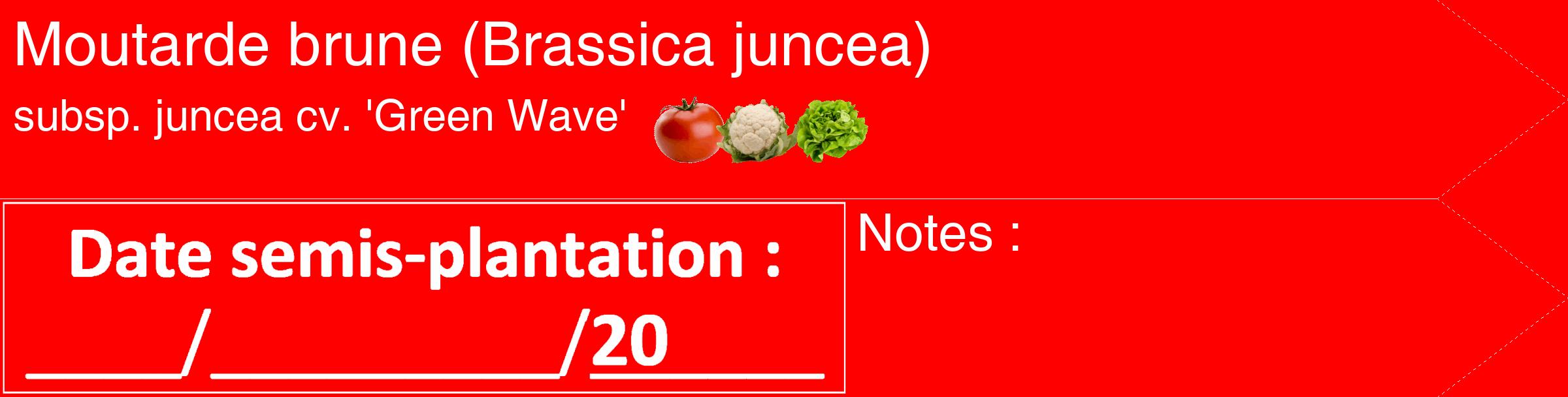 Étiquette de : Brassica juncea subsp. juncea cv. 'Green Wave' - format c - style blanche27_simple_simplehel avec comestibilité simplifiée