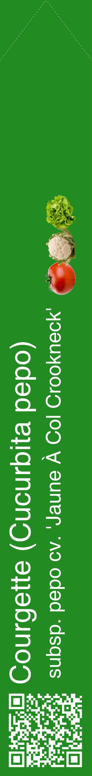 Étiquette de : Cucurbita pepo subsp. pepo cv. 'Jaune À Col Crookneck' - format c - style blanche10_simplehel avec qrcode et comestibilité simplifiée