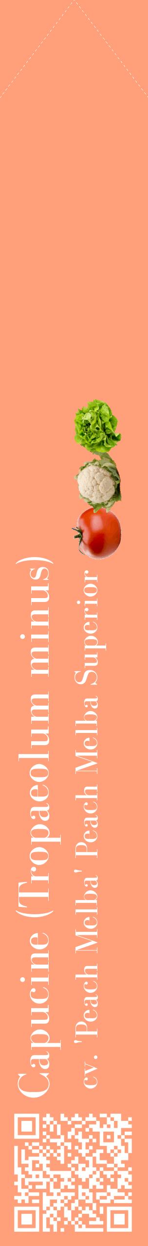 Étiquette de : Tropaeolum minus cv. 'Peach Melba' - format c - style blanche39_simplebod avec qrcode et comestibilité simplifiée