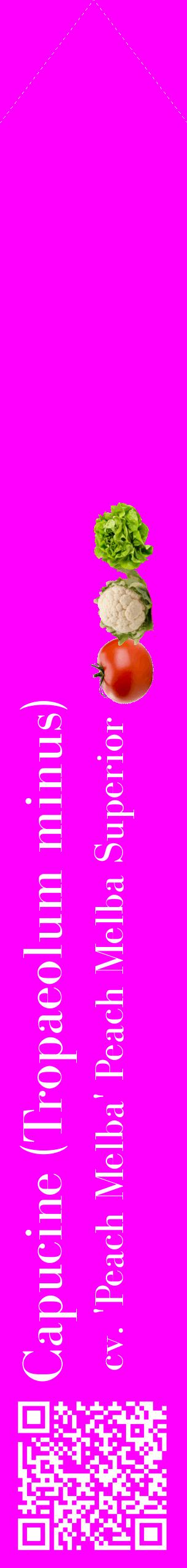 Étiquette de : Tropaeolum minus cv. 'Peach Melba' - format c - style blanche51_simplebod avec qrcode et comestibilité simplifiée