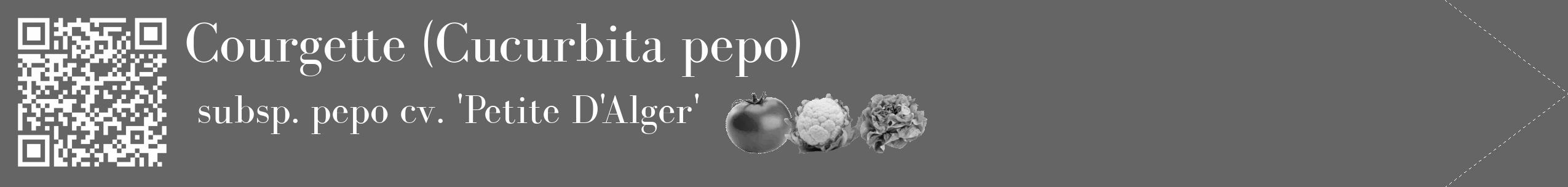 Étiquette de : Cucurbita pepo subsp. pepo cv. 'Petite D'Alger' - format c - style blanche32_simple_simplebod avec qrcode et comestibilité simplifiée