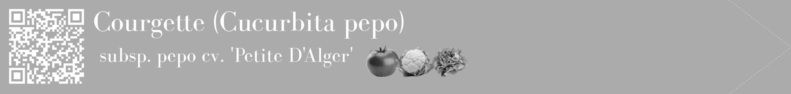 Étiquette de : Cucurbita pepo subsp. pepo cv. 'Petite D'Alger' - format c - style blanche37_simple_simplebod avec qrcode et comestibilité simplifiée