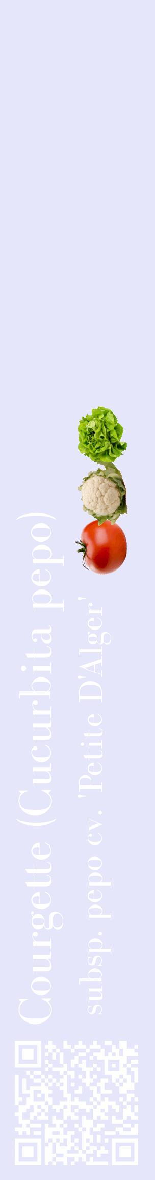 Étiquette de : Cucurbita pepo subsp. pepo cv. 'Petite D'Alger' - format c - style blanche55_basiquebod avec qrcode et comestibilité simplifiée