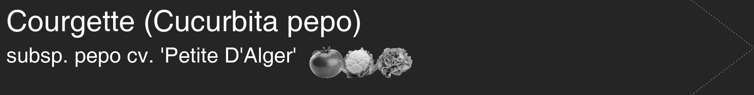 Étiquette de : Cucurbita pepo subsp. pepo cv. 'Petite D'Alger' - format c - style blanche47_simple_simplehel avec comestibilité simplifiée
