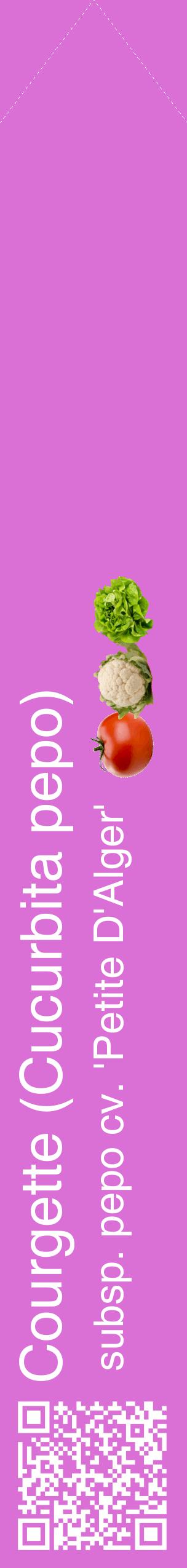 Étiquette de : Cucurbita pepo subsp. pepo cv. 'Petite D'Alger' - format c - style blanche52_simplehel avec qrcode et comestibilité simplifiée