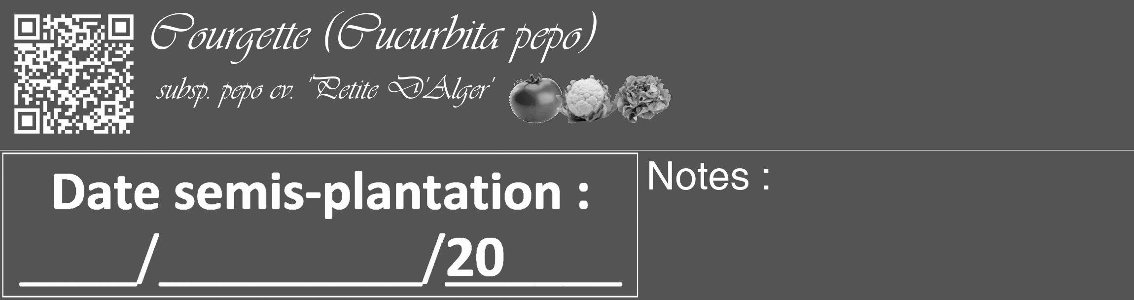 Étiquette de : Cucurbita pepo subsp. pepo cv. 'Petite D'Alger' - format c - style blanche30_basique_basiqueviv avec qrcode et comestibilité simplifiée