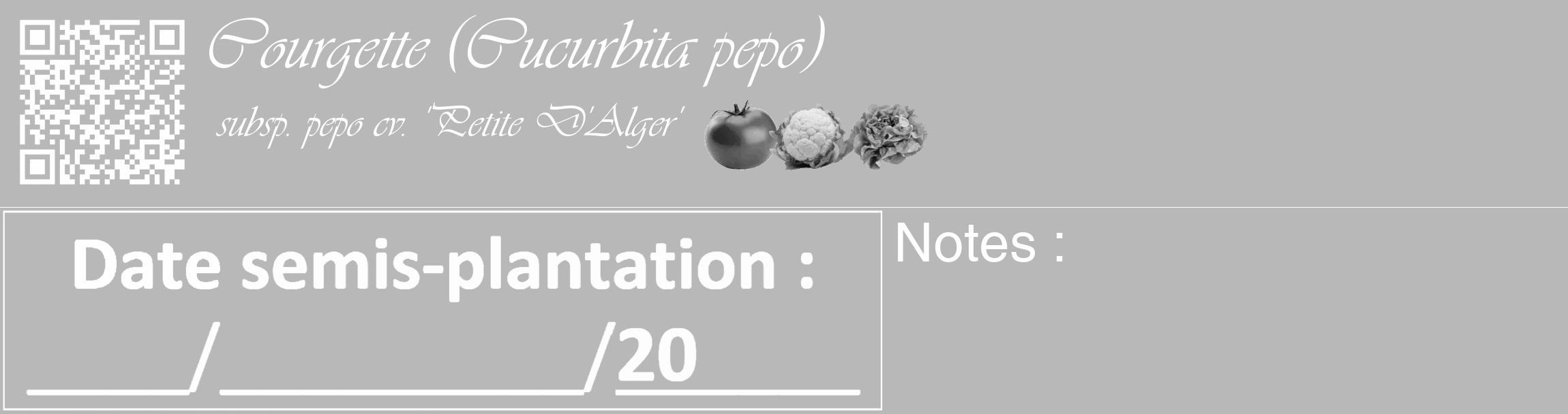 Étiquette de : Cucurbita pepo subsp. pepo cv. 'Petite D'Alger' - format c - style blanche39_basique_basiqueviv avec qrcode et comestibilité simplifiée