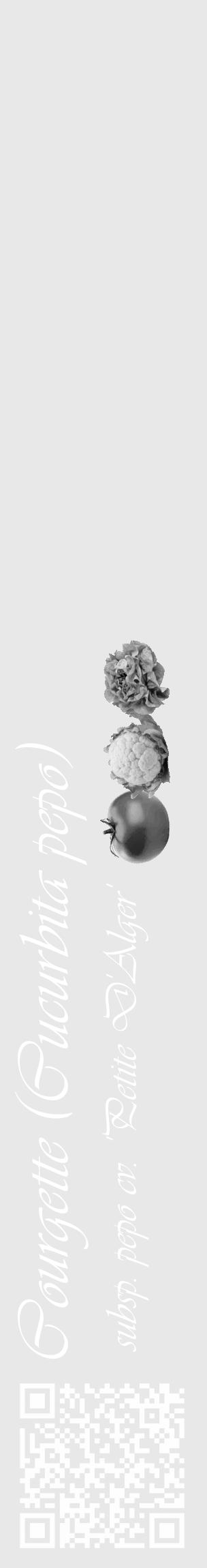 Étiquette de : Cucurbita pepo subsp. pepo cv. 'Petite D'Alger' - format c - style blanche55_basique_basiqueviv avec qrcode et comestibilité simplifiée - position verticale