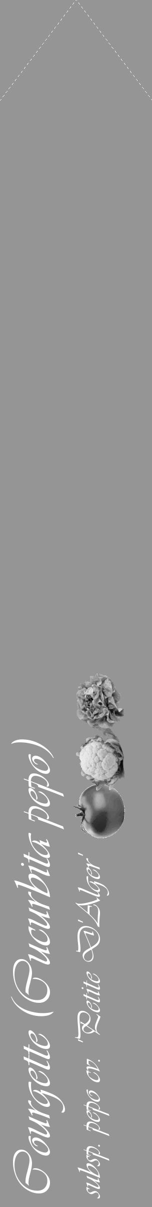 Étiquette de : Cucurbita pepo subsp. pepo cv. 'Petite D'Alger' - format c - style blanche16_simple_simpleviv avec comestibilité simplifiée - position verticale