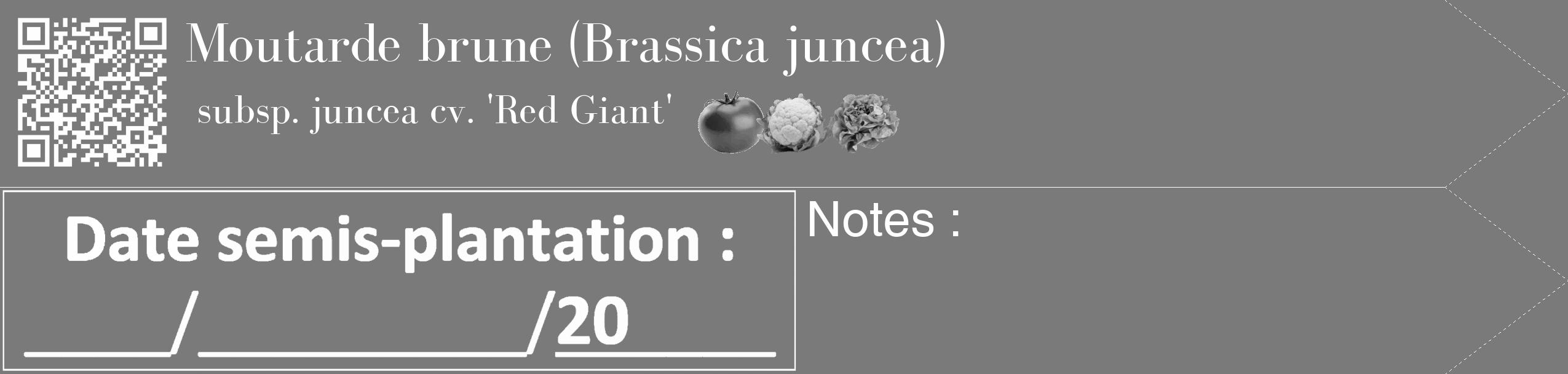 Étiquette de : Brassica juncea subsp. juncea cv. 'Red Giant' - format c - style blanche3simple_simple_simplebod avec qrcode et comestibilité simplifiée